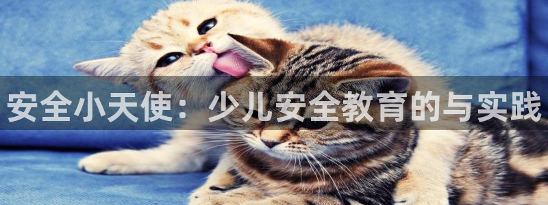 cq9电子登录地址