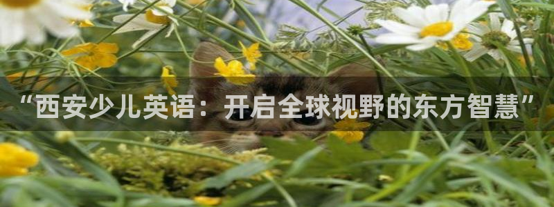 cq9传奇电子神龙