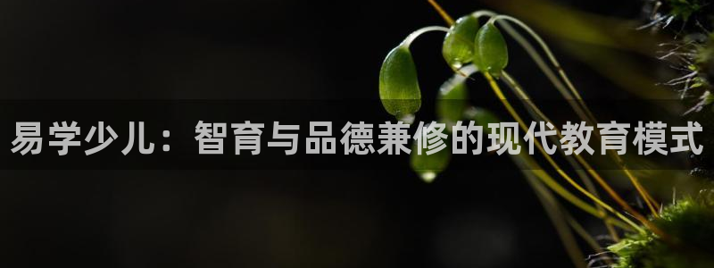 cq9电子免费游戏