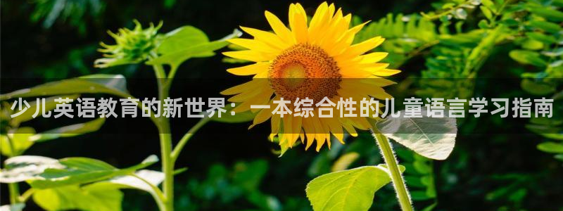 传奇cq9电子舞