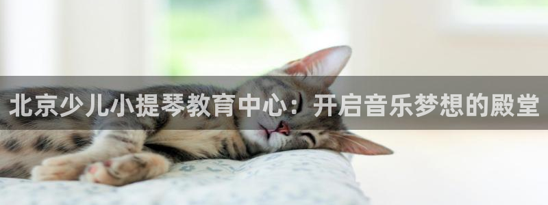 网赌电子CQ9爆分视频