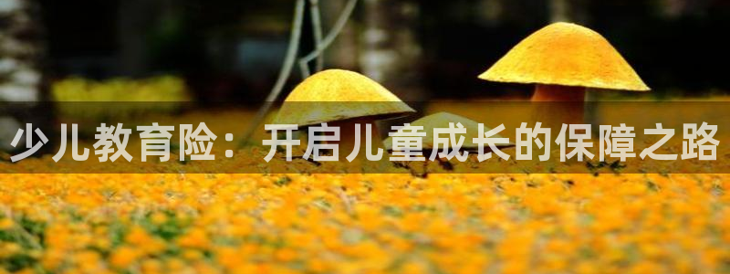 cq9电子游戏外挂