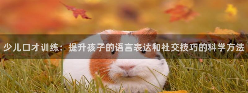 cq9电子宙斯视频