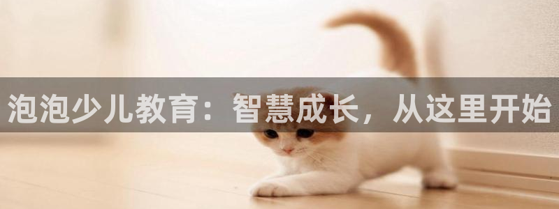 CQ9电子连接失败