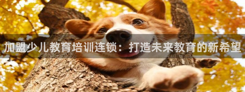 传奇cq9电子冠军