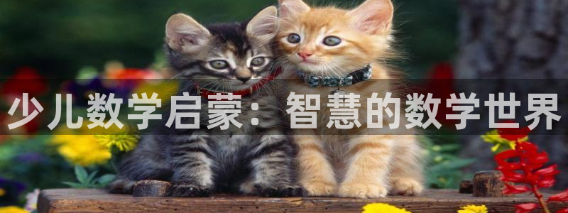cq9电子骗局