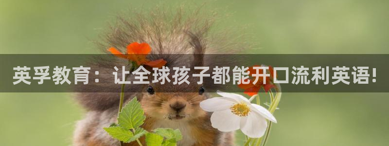 雅博电子CQ9