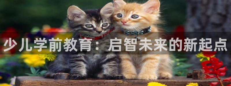 cq9电子宙斯怎么玩