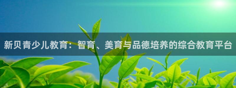 电子最新cq9游戏视频