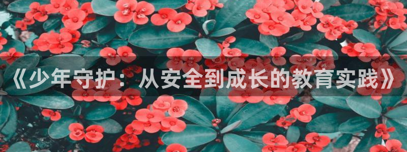 cq9电子辅助功能