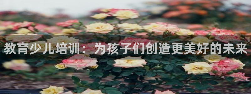 cq9电子投注规则