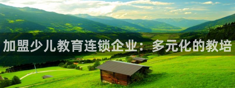 黑客攻击cq9电子