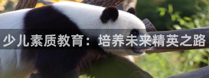 cq9电子板球狂热